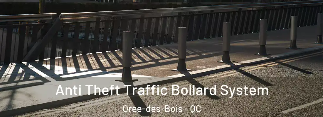  Anti Theft Traffic Bollard System Oree-des-Bois - QC