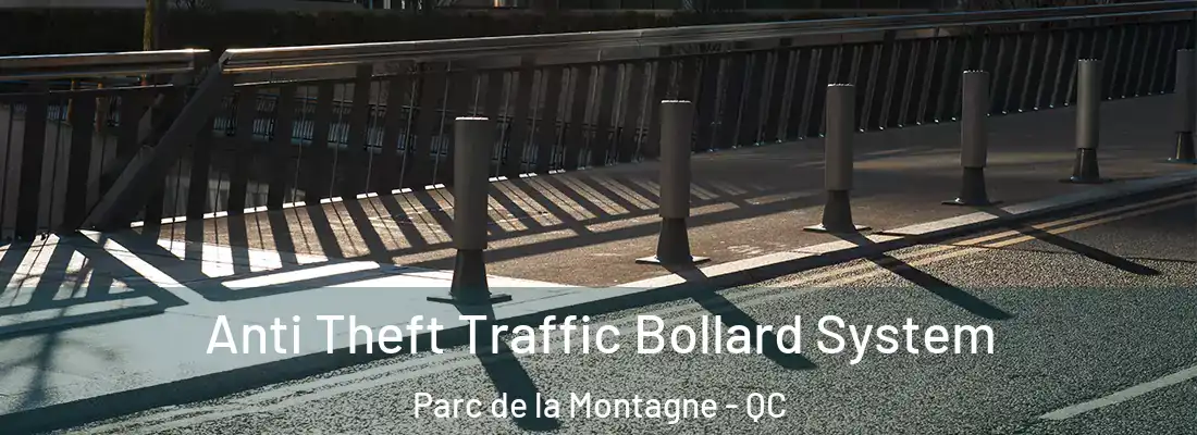  Anti Theft Traffic Bollard System Parc de la Montagne - QC