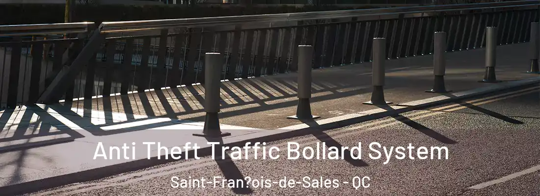  Anti Theft Traffic Bollard System Saint-Fran?ois-de-Sales - QC