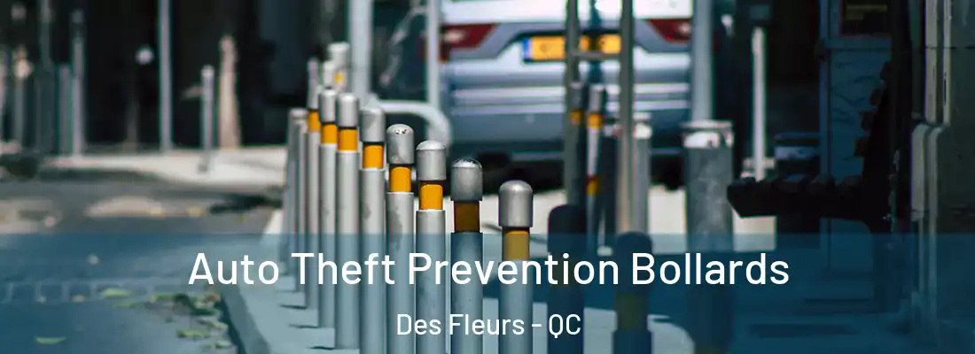  Auto Theft Prevention Bollards Des Fleurs - QC