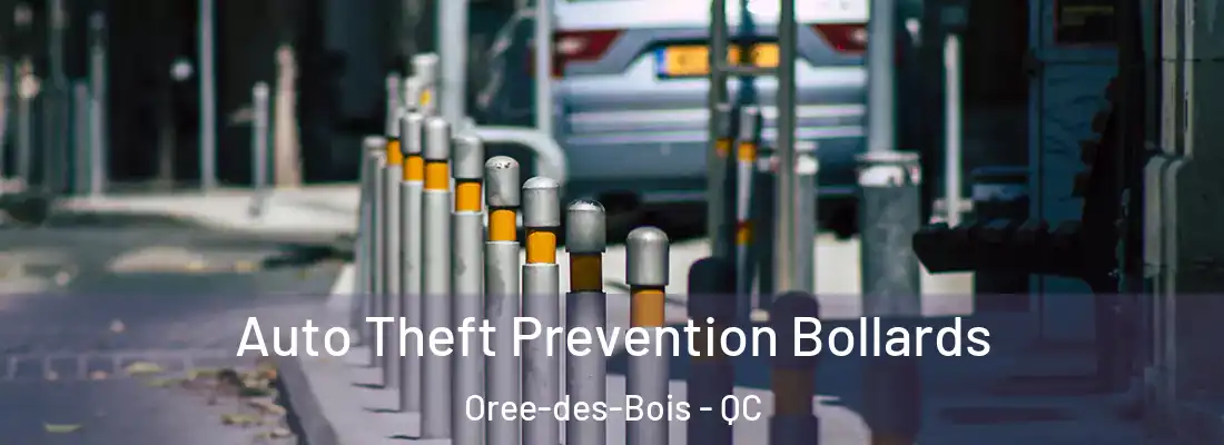  Auto Theft Prevention Bollards Oree-des-Bois - QC