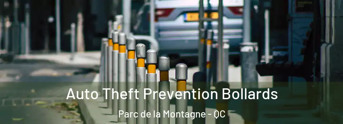  Auto Theft Prevention Bollards Parc de la Montagne - QC
