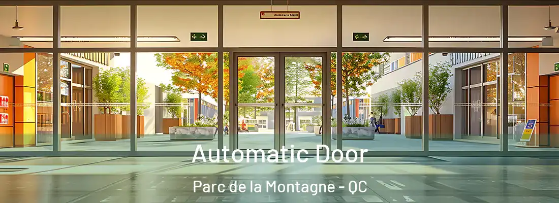  Automatic Door Parc de la Montagne - QC