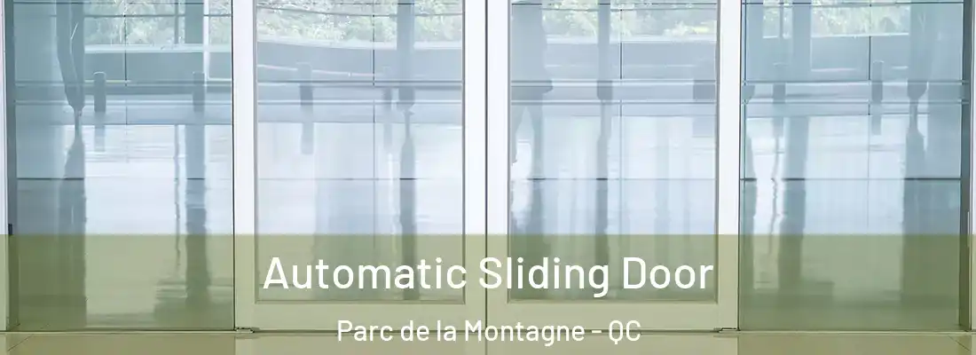  Automatic Sliding Door Parc de la Montagne - QC