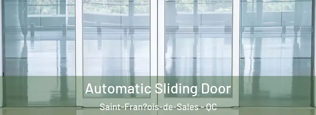  Automatic Sliding Door Saint-Fran?ois-de-Sales - QC