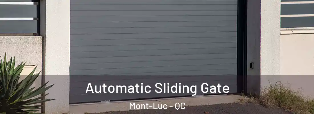  Automatic Sliding Gate Mont-Luc - QC