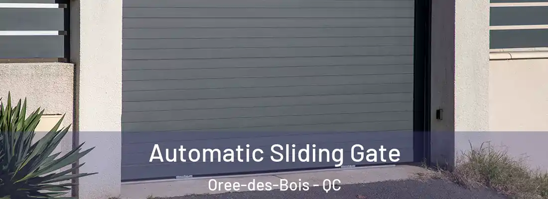  Automatic Sliding Gate Oree-des-Bois - QC