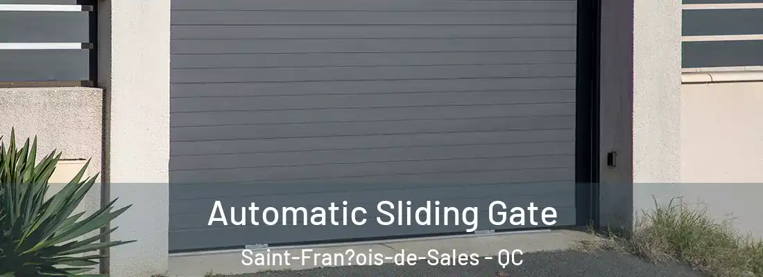  Automatic Sliding Gate Saint-Fran?ois-de-Sales - QC