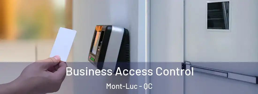  Business Access Control Mont-Luc - QC