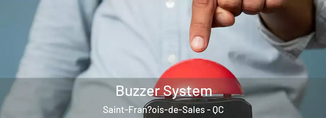  Buzzer System Saint-Fran?ois-de-Sales - QC