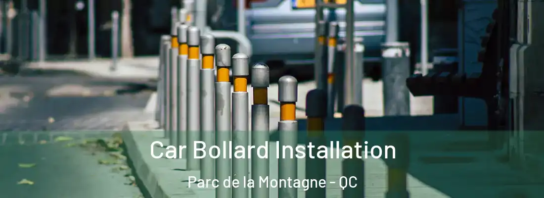  Car Bollard Installation Parc de la Montagne - QC