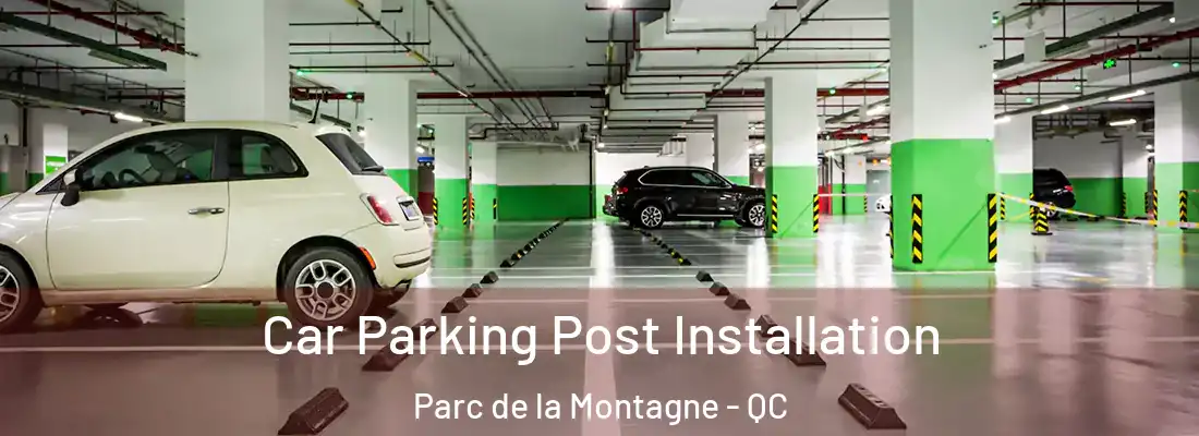 Car Parking Post Installation Parc de la Montagne - QC