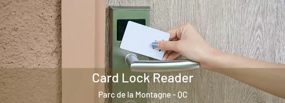  Card Lock Reader Parc de la Montagne - QC