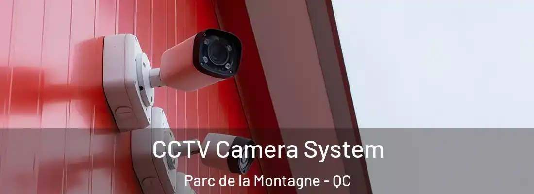  CCTV Camera System Parc de la Montagne - QC