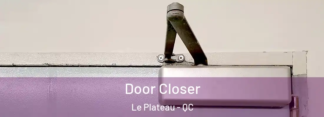  Door Closer Le Plateau - QC