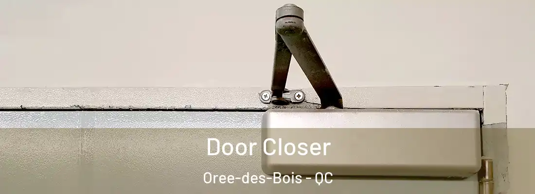  Door Closer Oree-des-Bois - QC