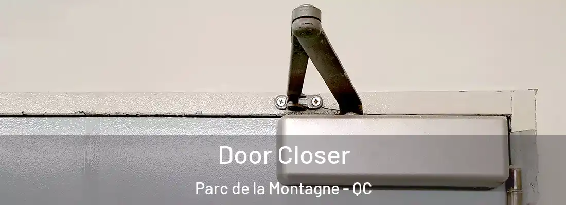  Door Closer Parc de la Montagne - QC