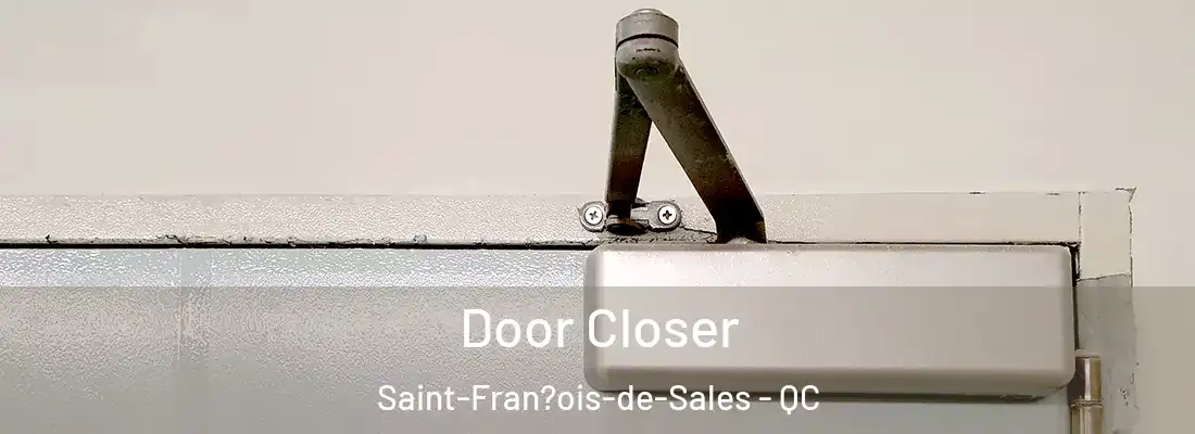  Door Closer Saint-Fran?ois-de-Sales - QC