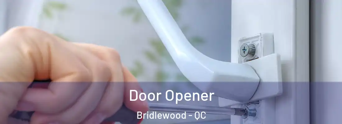  Door Opener Bridlewood - QC