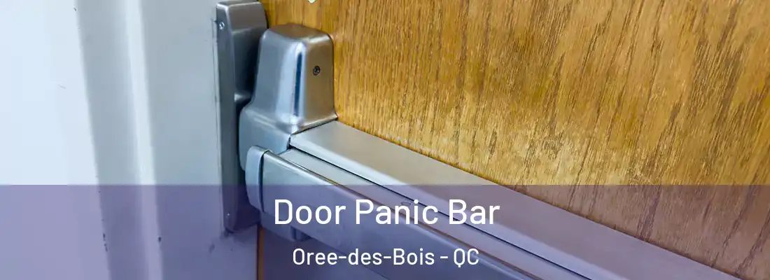  Door Panic Bar Oree-des-Bois - QC