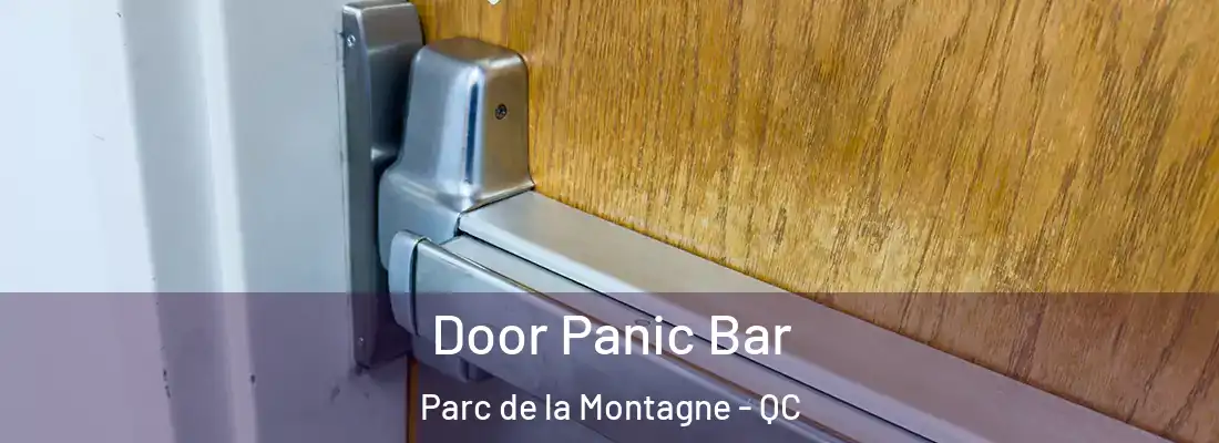  Door Panic Bar Parc de la Montagne - QC