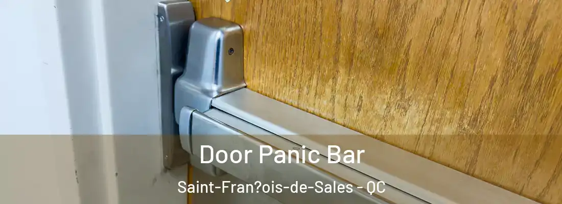  Door Panic Bar Saint-Fran?ois-de-Sales - QC