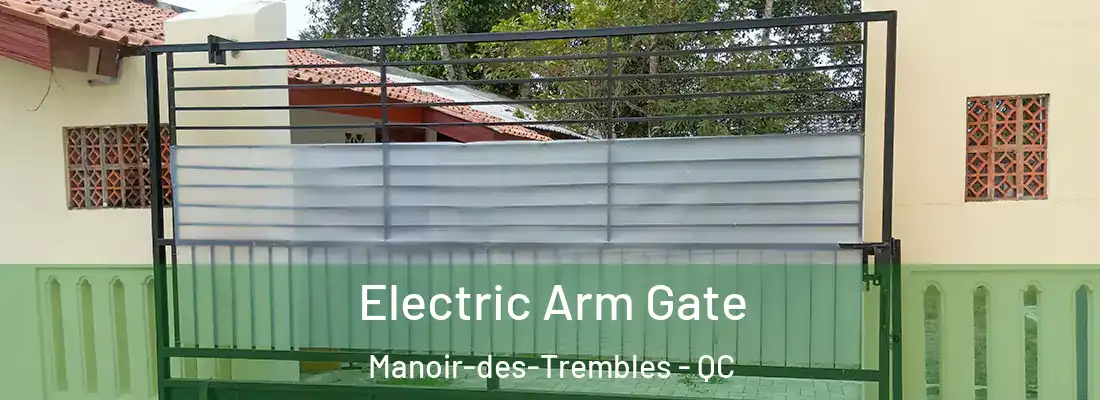  Electric Arm Gate Manoir-des-Trembles - QC
