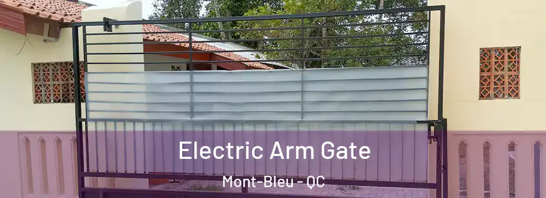  Electric Arm Gate Mont-Bleu - QC