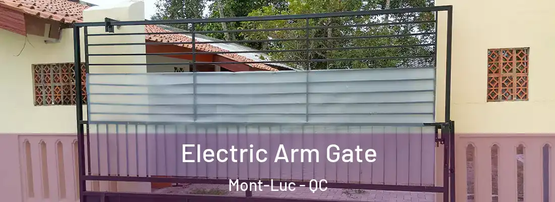  Electric Arm Gate Mont-Luc - QC
