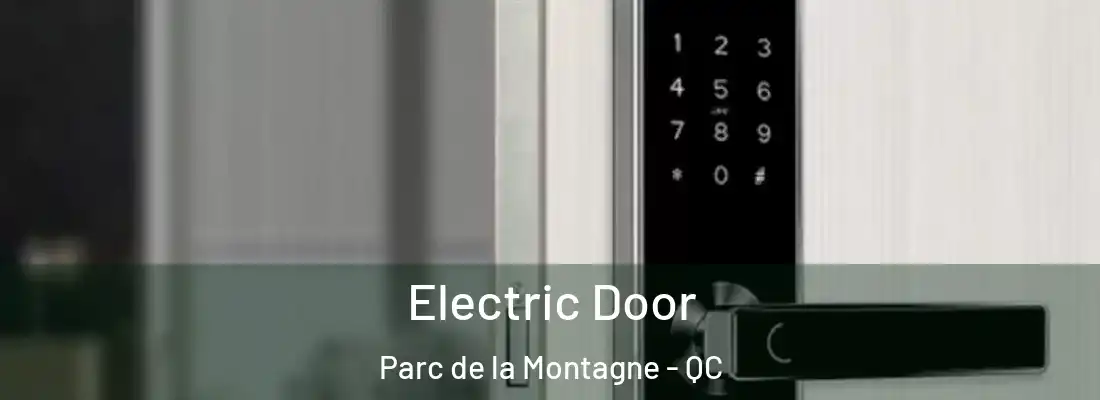  Electric Door Parc de la Montagne - QC