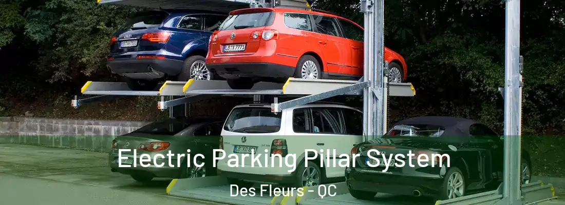  Electric Parking Pillar System Des Fleurs - QC
