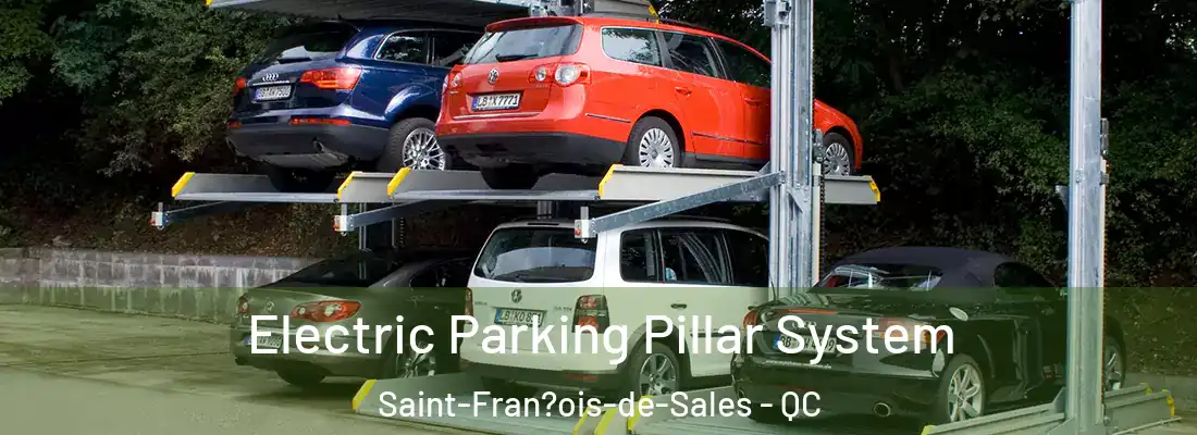  Electric Parking Pillar System Saint-Fran?ois-de-Sales - QC