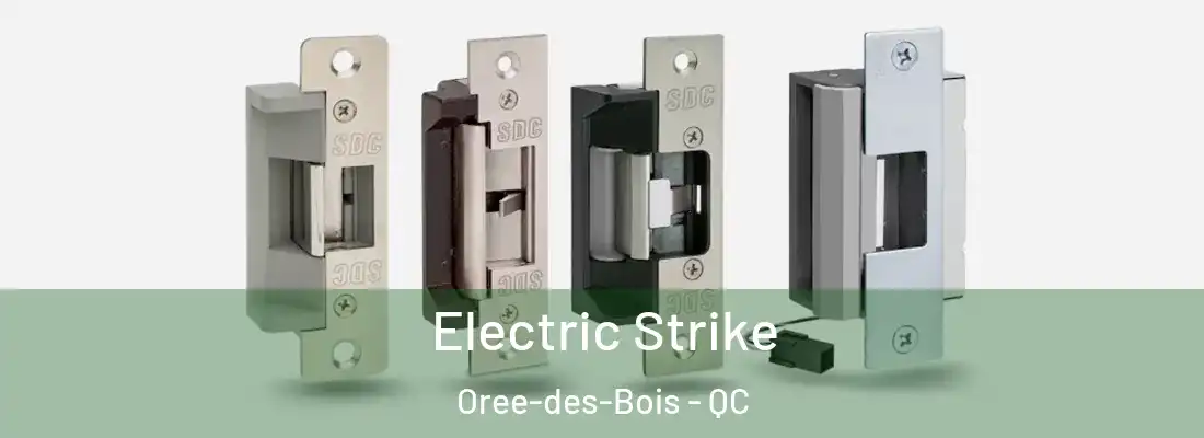  Electric Strike Oree-des-Bois - QC