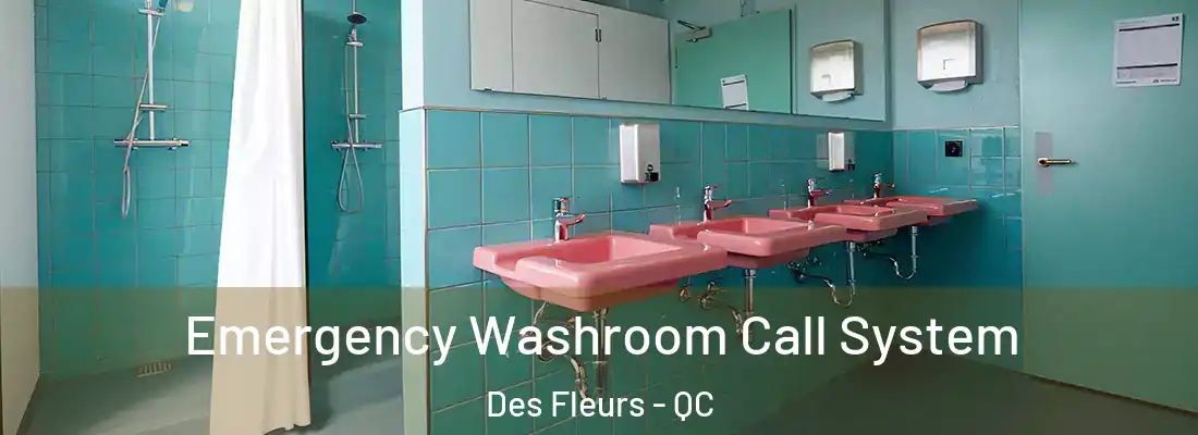  Emergency Washroom Call System Des Fleurs - QC