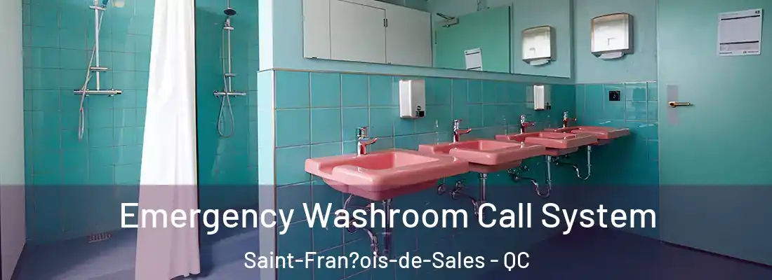  Emergency Washroom Call System Saint-Fran?ois-de-Sales - QC