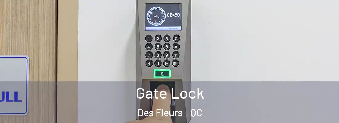  Gate Lock Des Fleurs - QC