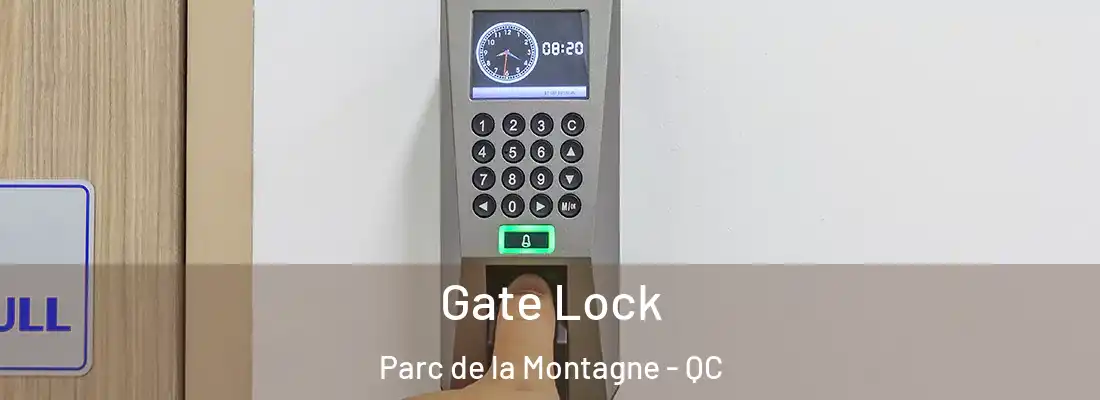  Gate Lock Parc de la Montagne - QC