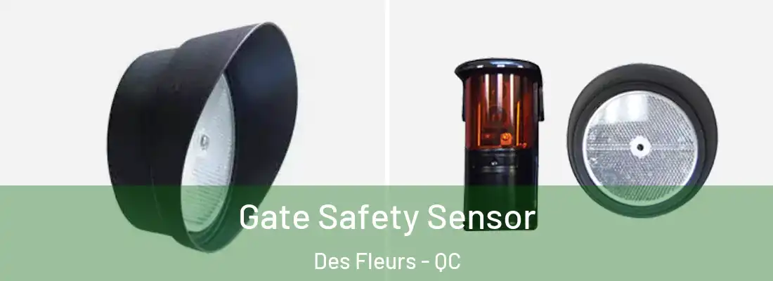  Gate Safety Sensor Des Fleurs - QC
