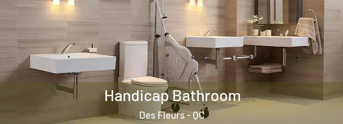  Handicap Bathroom Des Fleurs - QC
