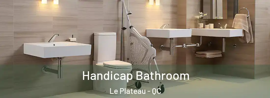  Handicap Bathroom Le Plateau - QC