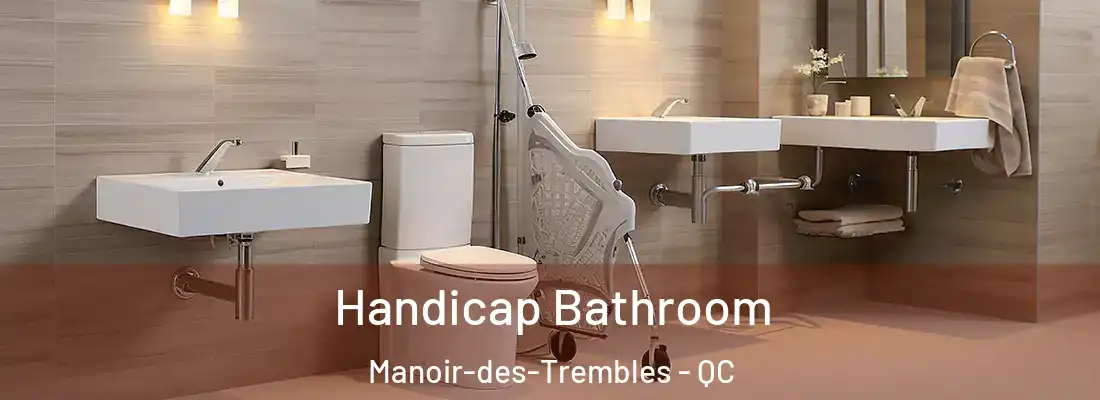  Handicap Bathroom Manoir-des-Trembles - QC