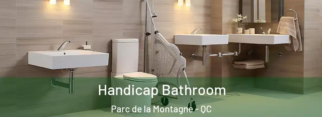  Handicap Bathroom Parc de la Montagne - QC
