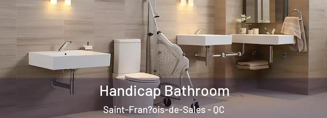  Handicap Bathroom Saint-Fran?ois-de-Sales - QC