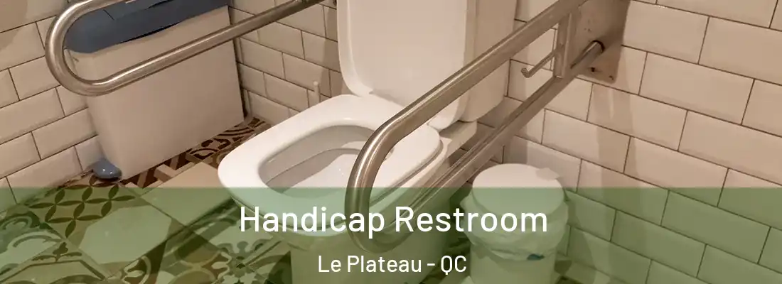  Handicap Restroom Le Plateau - QC