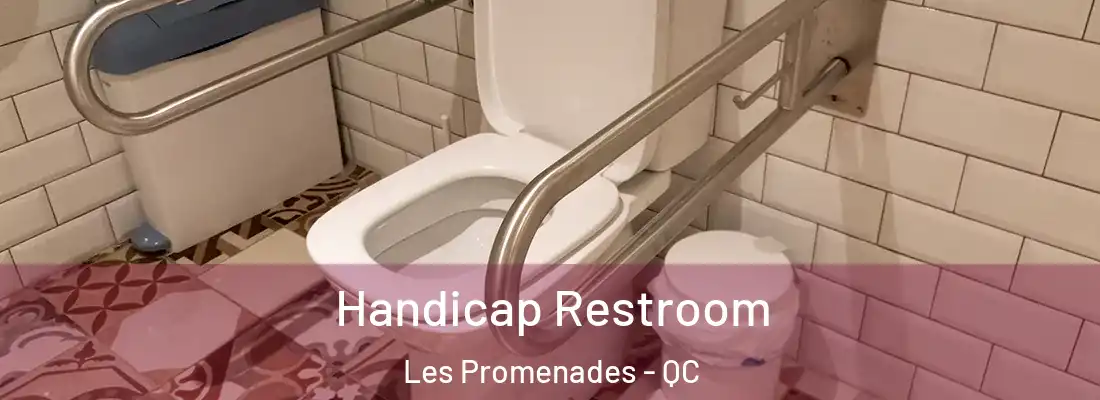  Handicap Restroom Les Promenades - QC