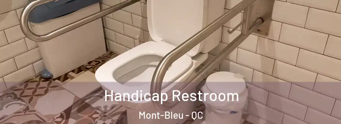  Handicap Restroom Mont-Bleu - QC
