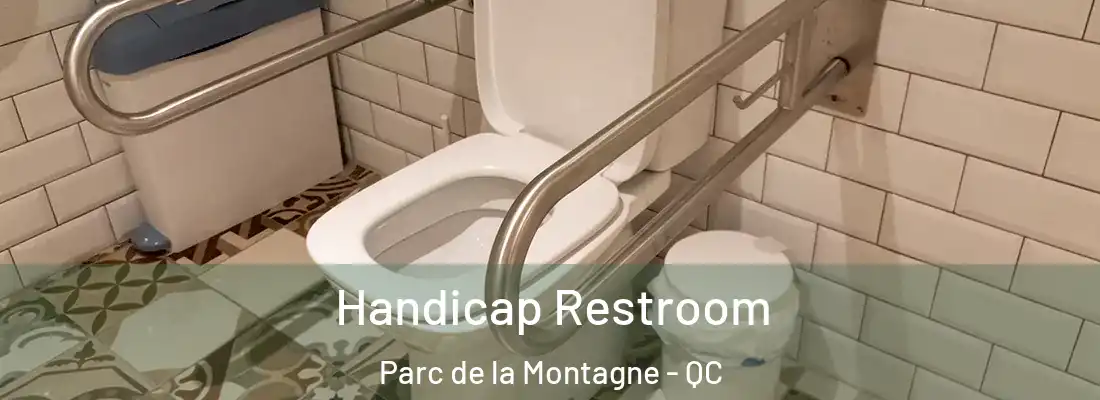  Handicap Restroom Parc de la Montagne - QC