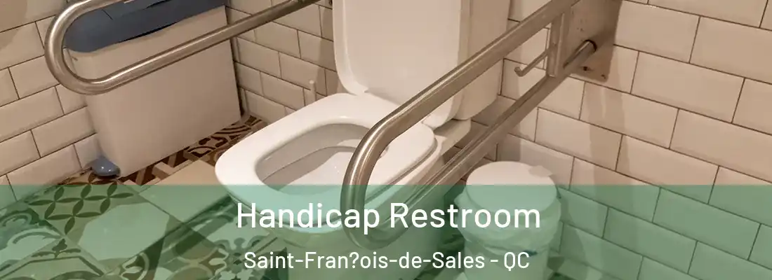  Handicap Restroom Saint-Fran?ois-de-Sales - QC