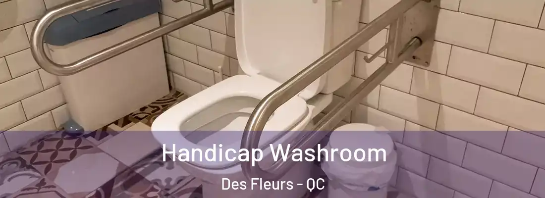  Handicap Washroom Des Fleurs - QC
