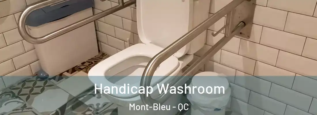  Handicap Washroom Mont-Bleu - QC